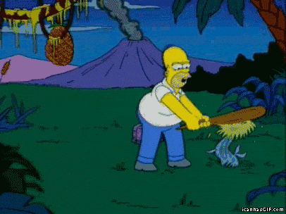 https://media.giphy.com/media/26BRHbVjmHVqj4MQo/giphy.gif