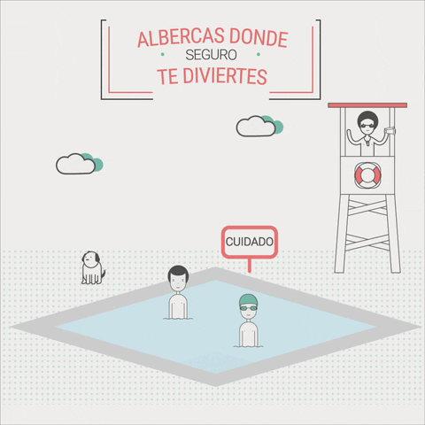 Nom Mx Alberca GIF by BNN México