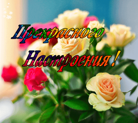 Картинки прекрасного настроения на весь день девушке