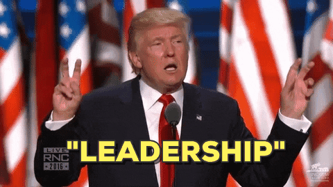 Donald Trump Leadership GIF by Election 2016