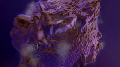 Purple GIFs - Find & Share on GIPHY