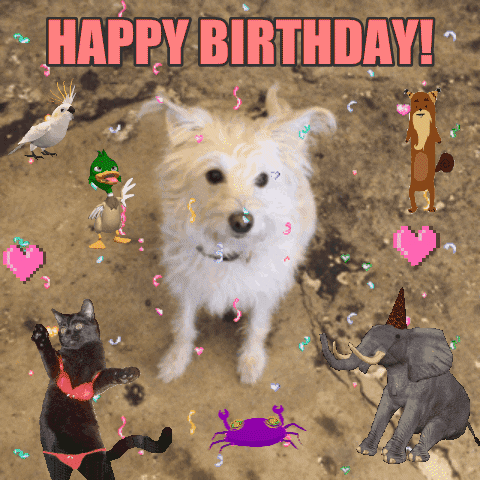 Happy Birthday GIF by chuber channel - Find & Share on GIPHY