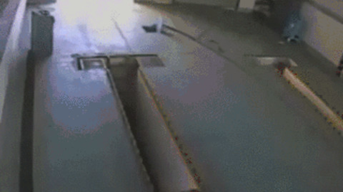 Push and Push and Gone funny Gif