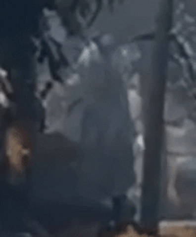 giphy.gif
