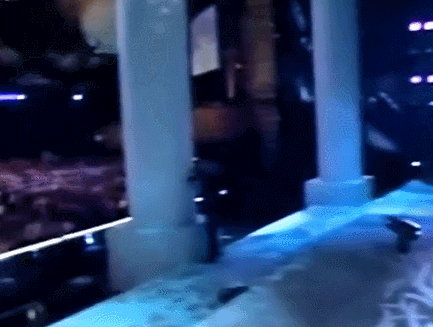giphy.gif
