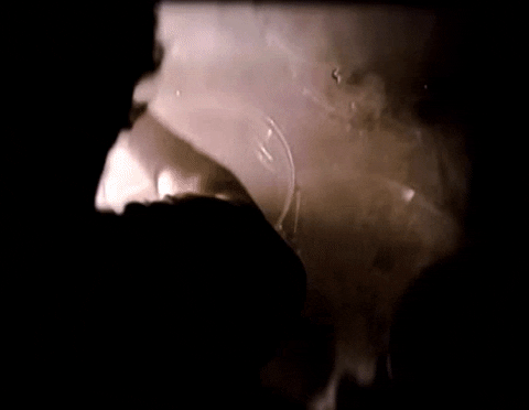 Nuclear Blast Recordings GIF by Machine Head
