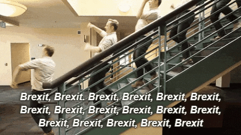 Le BREXIT  - Page 6 Giphy