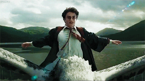 Harry Potter vliegt op een hippogriff