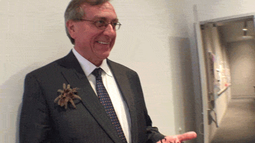 Spider Scorpion GIF by University of Florida