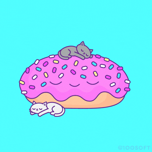 Image result for animated photo . cat eating donut