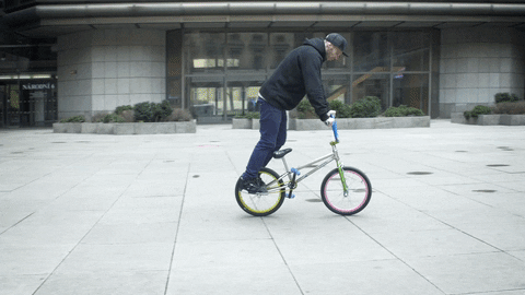 wheelie wheelie