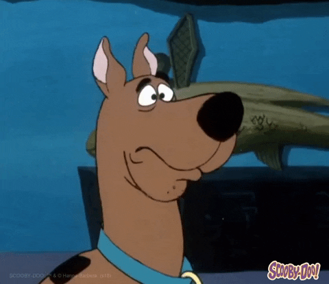Scared Dog GIF by Scooby-Doo - Find & Share on GIPHY