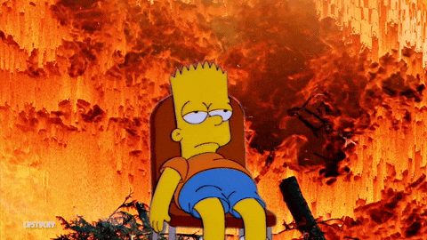 giphy.gif?cid=790b7611f820803344aee11b57