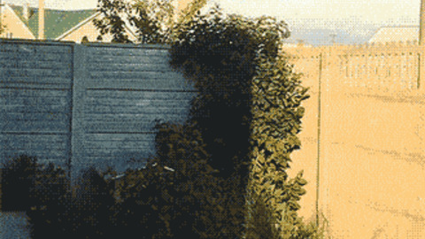 Hi best Gif