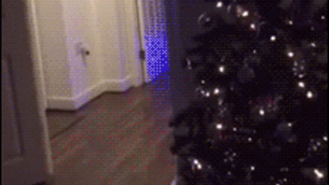 Santa Down best Gif