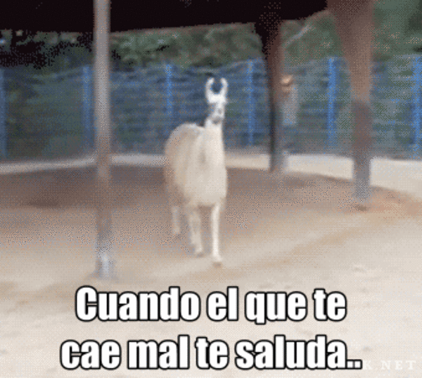 source.gif