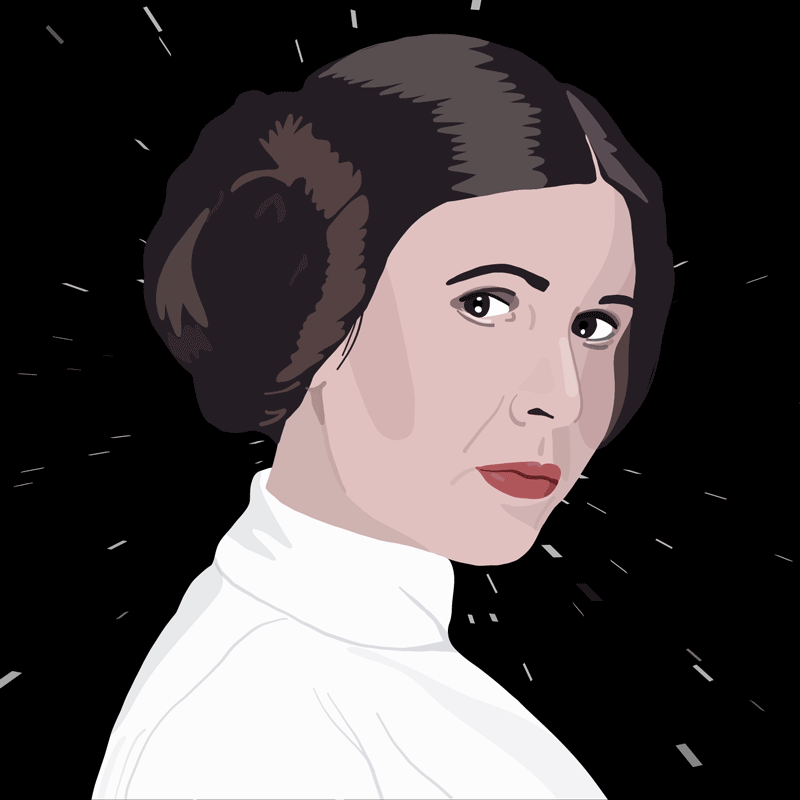 Julie Winegard star wars carrie fisher leia princess leia