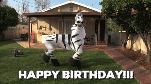 A birthday zebra dancing