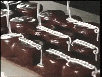 giphy.gif