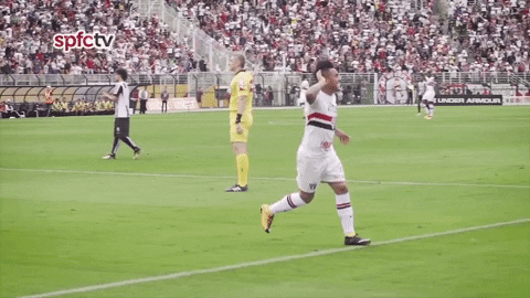 Spfc GIF by São Paulo FC