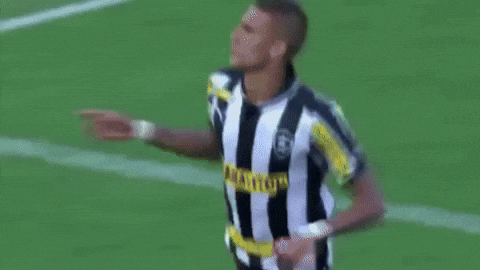 Botafogo Futebol E Regatas GIF by Botafogo