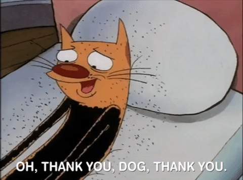 Dog Thank You GIFs - Find & Share on GIPHY
