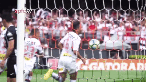 Spfc GIF by São Paulo FC
