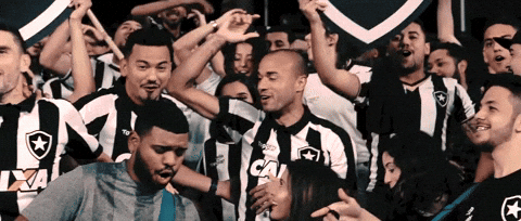 Botafogo De Futebol E Regatas GIF by Botafogo