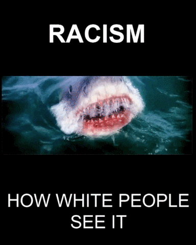 Racism GIF by Center for Story-based Strategy