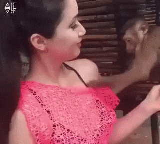 imagenes gif,imagenes graciosas, las mejores imagenes, imagenes graciosas, chistes, risas