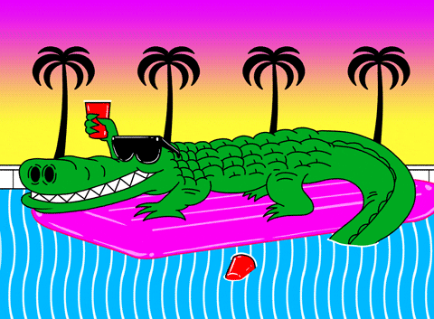 Spring Break Florida GIF by GIPHY Studios Originals - Find & Share on GIPHY
