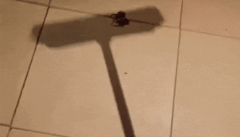 Just Burn Everything in funny gifs