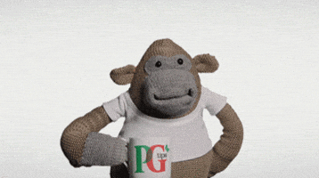 PG Tips GIF - Find & Share on GIPHY