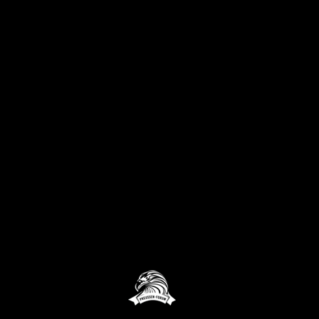 Neue GIF Toranimation vom PreußenForum!