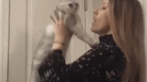 No Kisses Please funny Gif