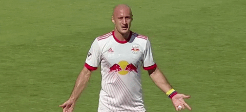Major League Soccer Whatever GIF by New York Red Bulls