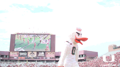U Hands University Of Miami GIF by Miami Hurricanes