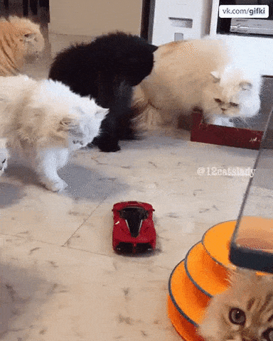 New Gadget in funny gifs