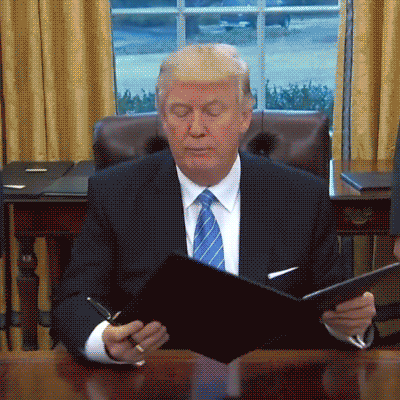 Donald Trump GIF by nog - Find & Share on GIPHY