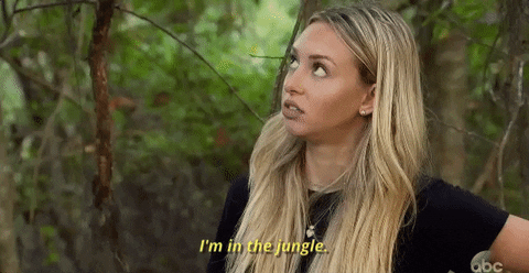 Episode 5 Jungle GIF by The Bachelor - Find & Share on GIPHY