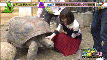 200.gif