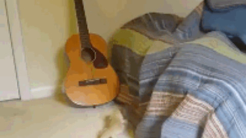 Yeah i did it best Gif