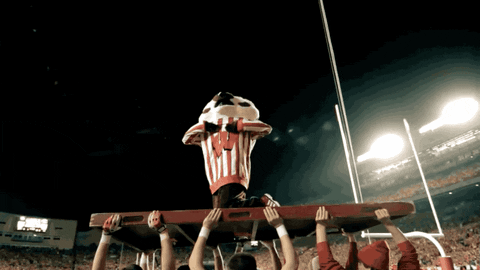 Wisconsin Badgers Bucky GIF by uwmadison - Find & Share on GIPHY