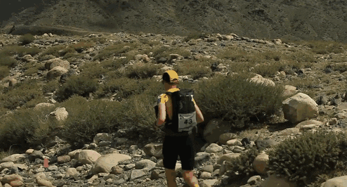 None animated GIF