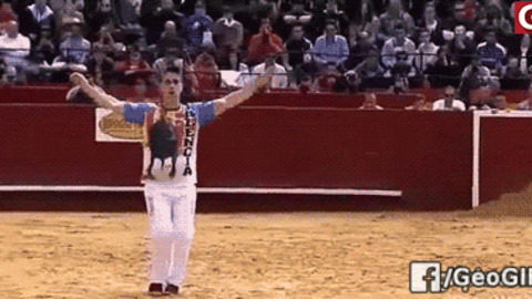 Like A Boss best Gif