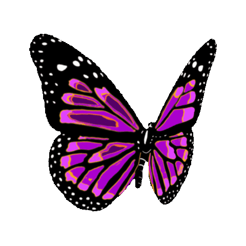 Butterfly Sticker by imoji for iOS & Android | GIPHY