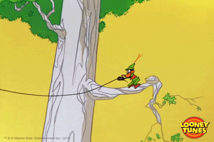 Fail Robin Hood Gif By Looney Tunes Find Share On Giphy