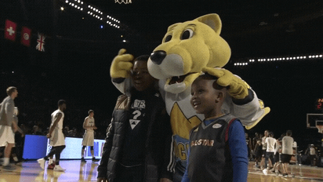 Denver Nuggets GIFs - Find & Share on GIPHY