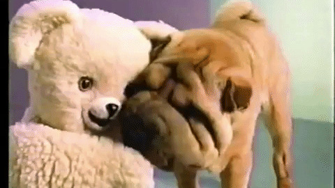 Crazy Dogbest Gif