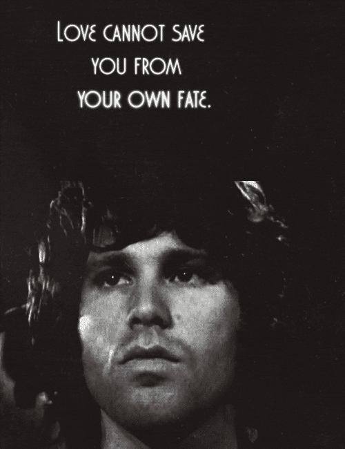 Jim Morrison GIF Find & Share on GIPHY